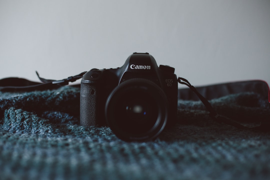 Wildlife Photography Sample 1